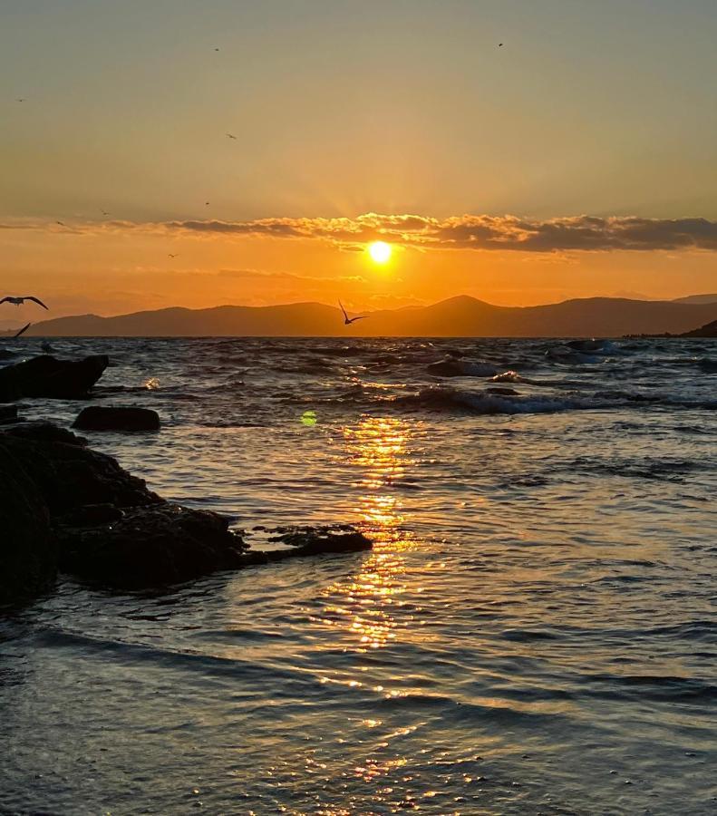 Les Cactus Frejus Plage Экстерьер фото